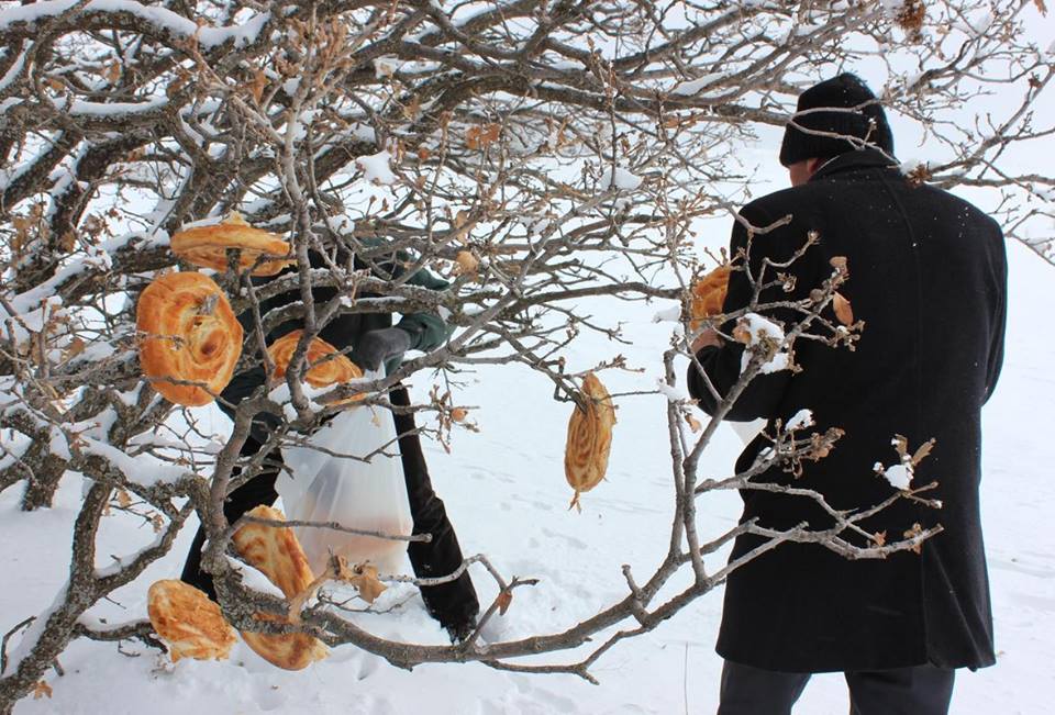 تركيا تطعم الطيور والحيونات في الثلج 